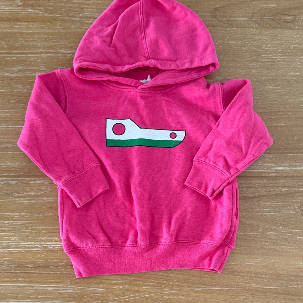 Pink Kids Hoodie